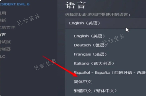 生化危机6怎么设置中文字幕3