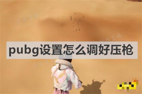 《pubg》设置怎么调好压枪 《pubg》压枪设置推荐
