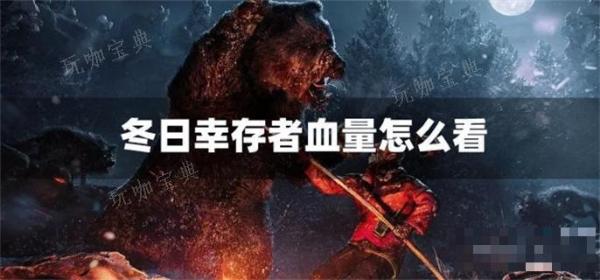 冬日幸存者血量怎么看