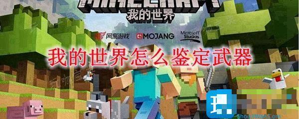 《我的世界》怎么鉴定武器