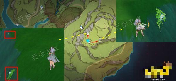 《原神》草神突破材料在哪收集 纳西妲突破材料采集路线