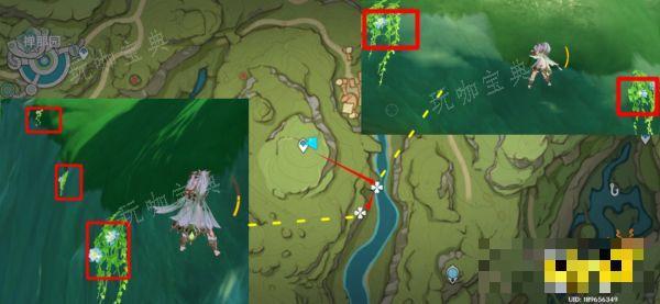 《原神》草神突破材料在哪收集 纳西妲突破材料采集路线