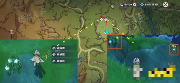《原神》草神突破材料在哪收集 纳西妲突破材料采集路线