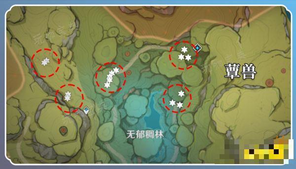 《原神》草神突破材料在哪收集 纳西妲突破材料采集路线