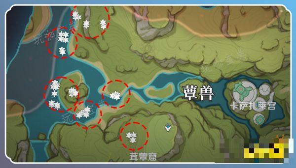 《原神》草神突破材料在哪收集 纳西妲突破材料采集路线