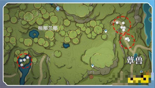 《原神》草神突破材料在哪收集 纳西妲突破材料采集路线