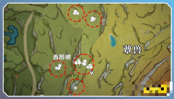 《原神》草神突破材料在哪收集 纳西妲突破材料采集路线