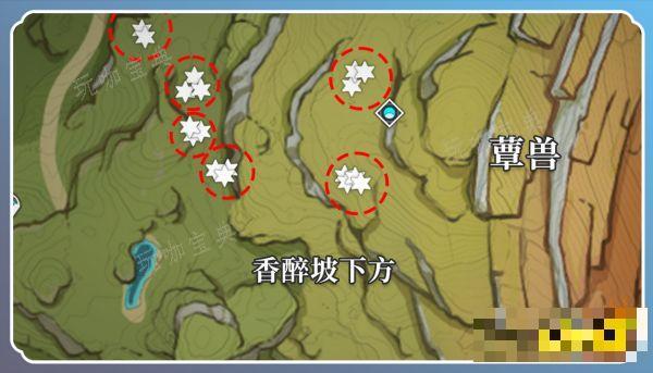 《原神》草神突破材料在哪收集 纳西妲突破材料采集路线