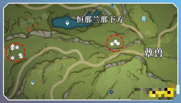《原神》草神突破材料在哪收集 纳西妲突破材料采集路线