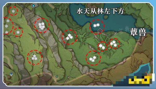 《原神》草神突破材料在哪收集 纳西妲突破材料采集路线