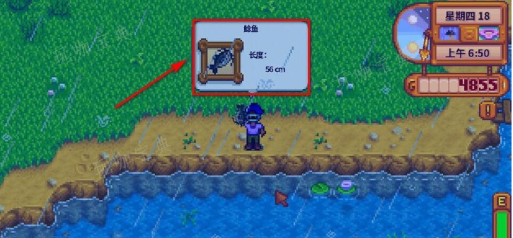 《星露谷物语》湖鱼在哪里钓 钓鱼需要准备什么