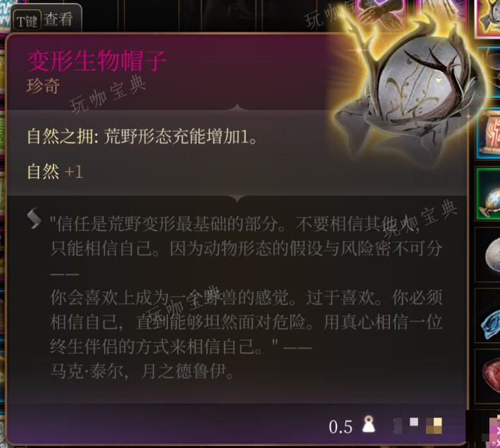 《博德之门3》魔网斗篷在哪里获得