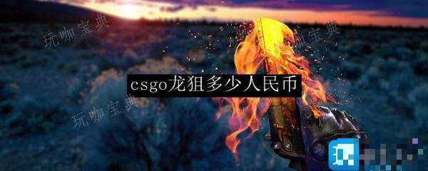 《csgo》龙狙多少人民币