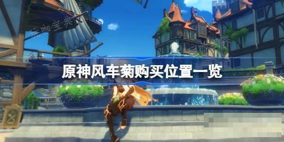 《原神》风车菊在哪里购买 《原神》风车菊购买位置一览