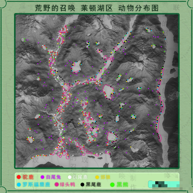 《猎人：荒野的呼唤》莱顿湖区所有动物分布在哪里