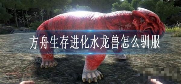 《方舟生存进化》水龙兽驯服方法