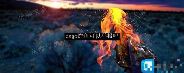 《csgo》炸鱼可以举报吗