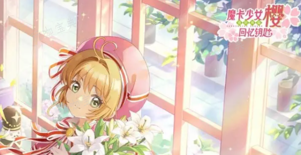 魔卡少女樱回忆钥匙手撕包菜怎么做