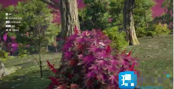 《永劫无间》隐身草位置一览