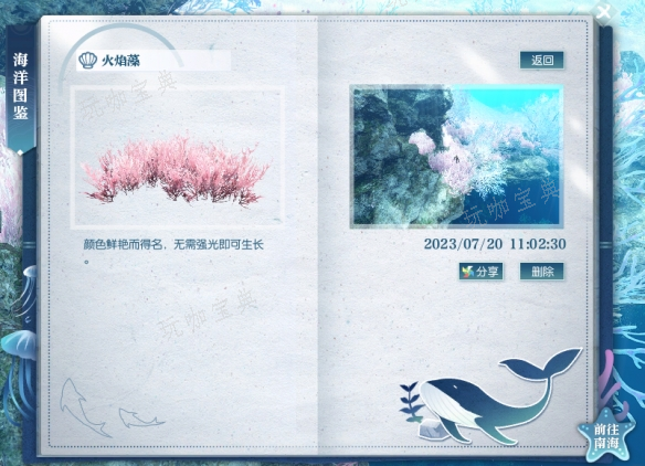 《逆水寒手游》火焰藻在什么地方 《逆水寒手游》火焰藻位置坐标位置一览图片1