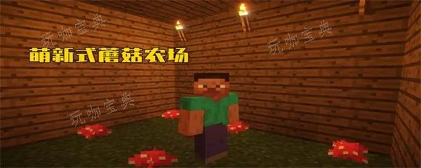 《我的世界》棕色蘑菇怎么获得