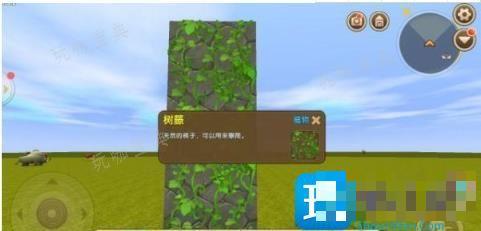 《迷你世界》树藤在哪里