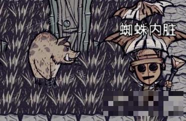 《饥荒海难》猪作用介绍