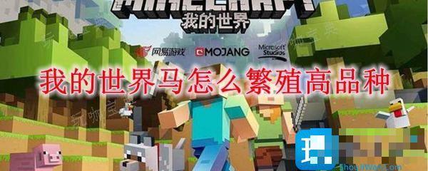 《我的世界》马怎么繁殖高品种