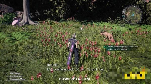 ff7重生我的宝贝小鸡任务攻略 我的宝贝小鸡任务怎么做