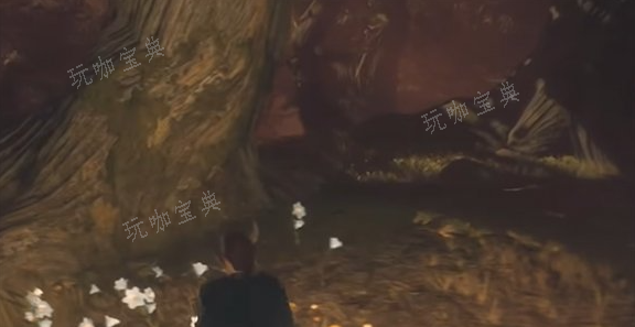 龙之信条2怎么学习精灵语