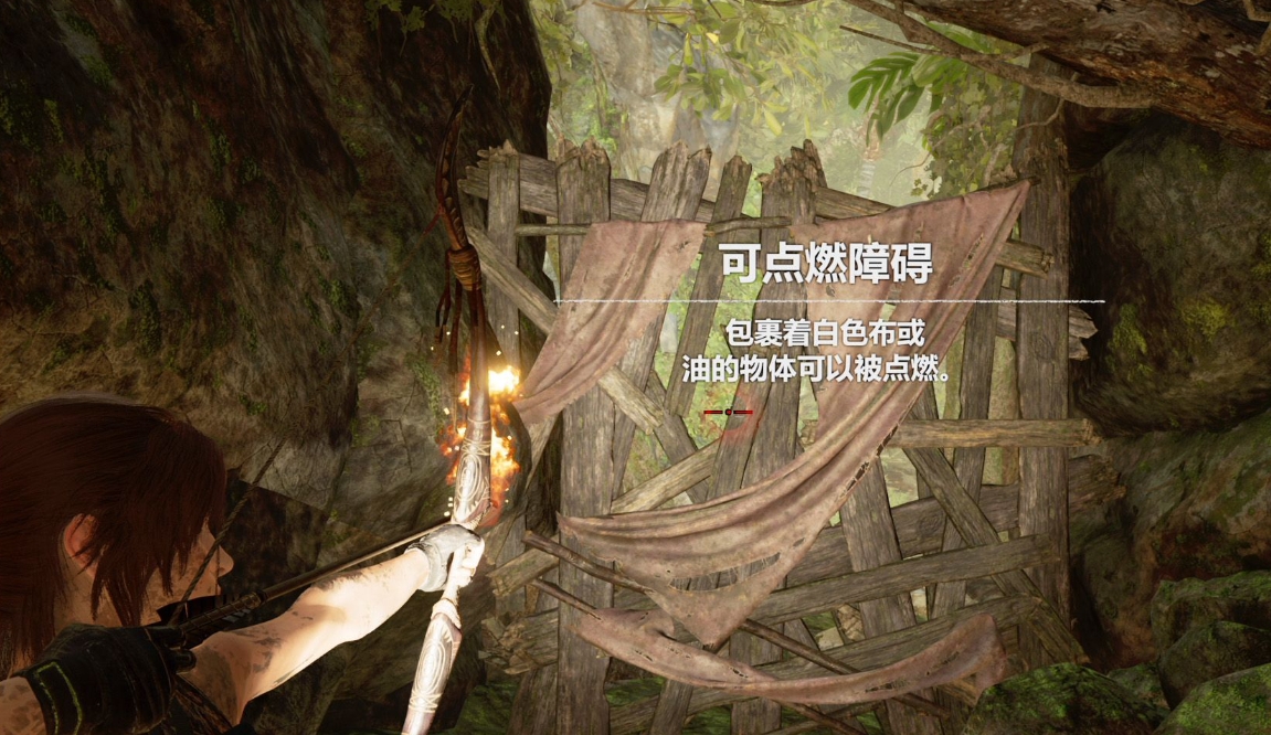 古墓丽影秘鲁丛林文献怎么过
