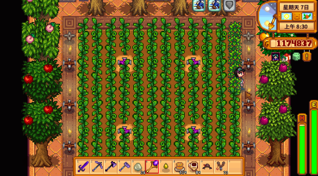 星露谷物语种植什么最好