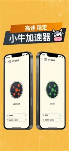 小牛加速器app