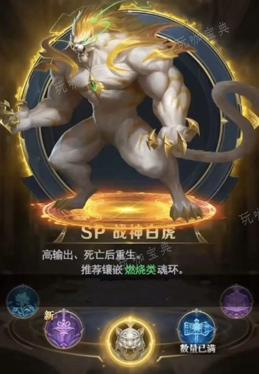 斗罗大陆白虎带什么魂环好