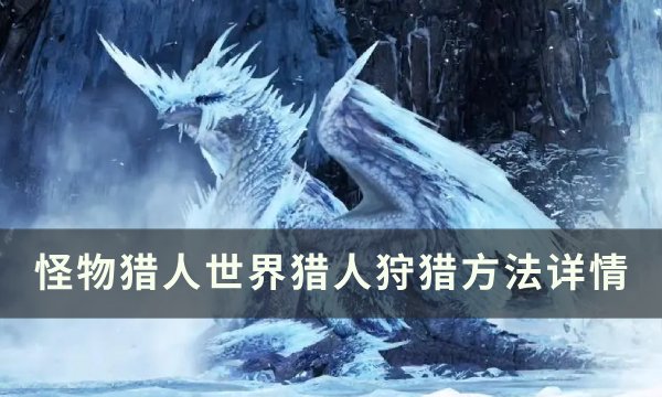 《怪物猎人世界》猎人怎么狩猎 怪物猎人世界猎人狩猎方法详情(怪物猎人世界绚辉龙)