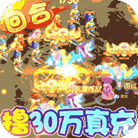 武道将魂（刷30万真充）手游