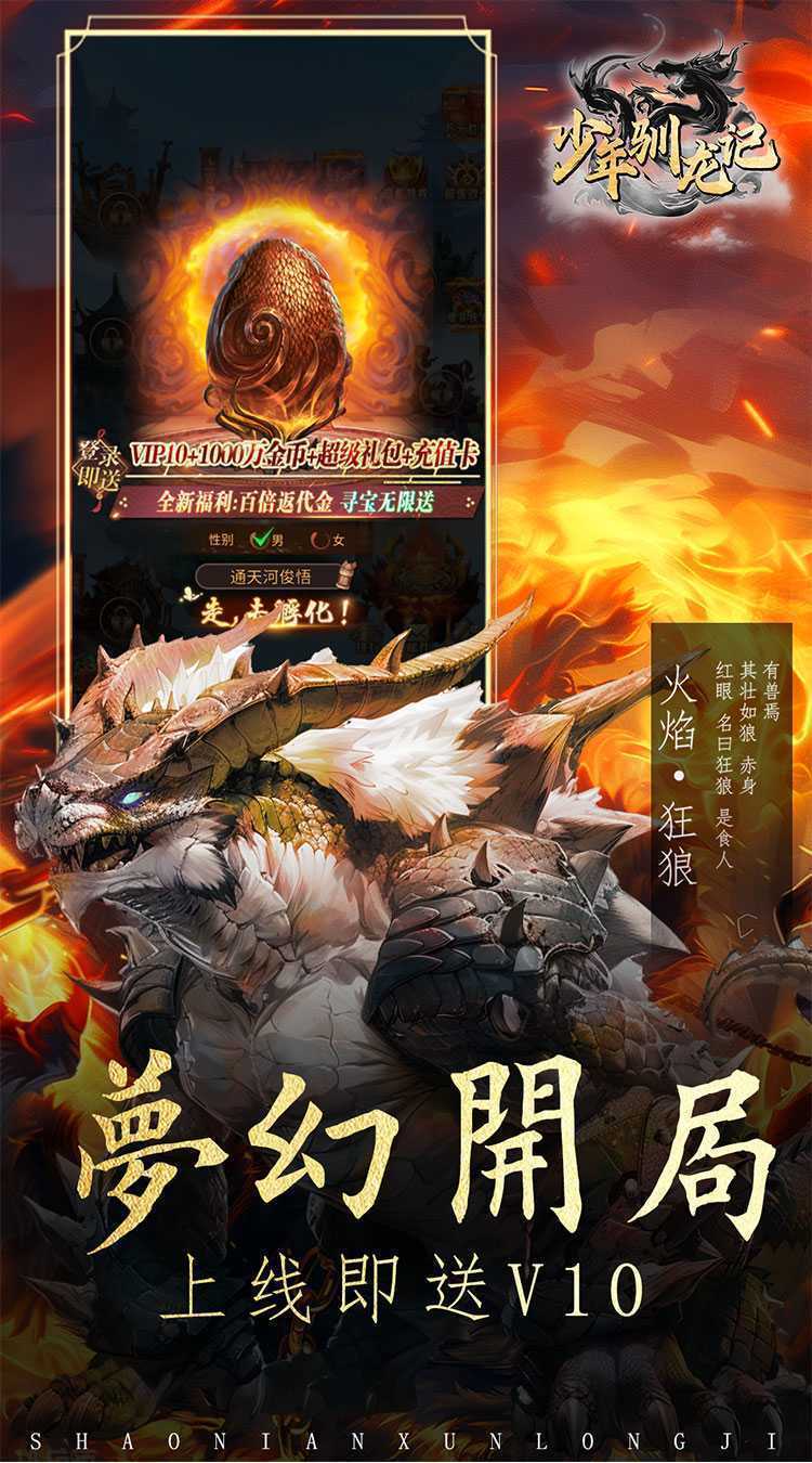 少年驯龙记（百倍高返）最新版